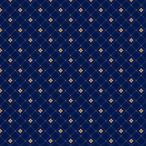 ASTERISK navy