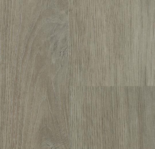 18982 shadow oak
