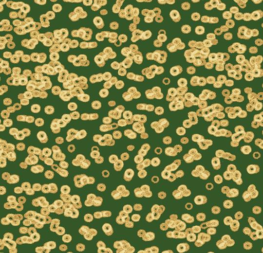 bacteria 990502