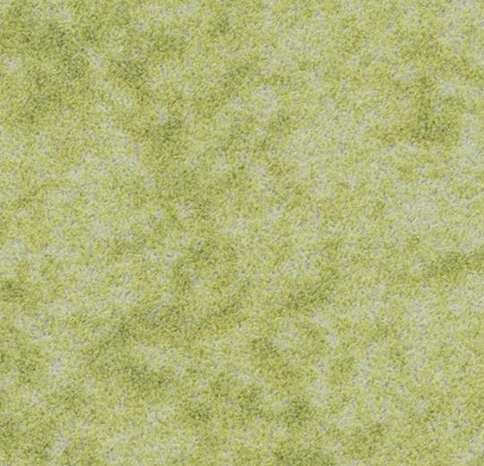 s290014_t590014 lime