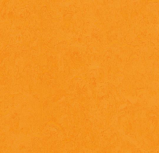 3262 marigold 2,5-3,5 mm