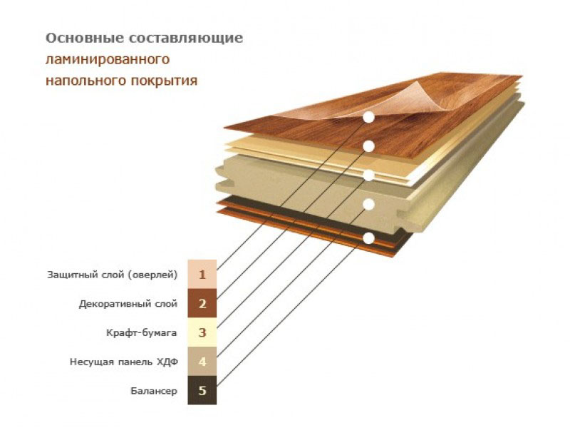 laminat_i_linoleum_vybor_pokrytiya_dlya_pola_1.jpeg